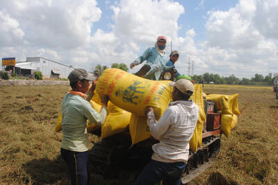 Đồng Tháp nâng cao năng lực cho hợp tác xã trước thách thức biến đổi khí hậu