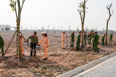 TP Huế phát động “Tết trồng cây đời đời nhớ ơn Bác Hồ” Xuân Bính Ngọ 2026