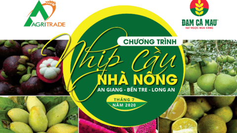 Công ty Cổ phần Phân bón Dầu khí Cà Mau (Đạm Cà Mau) đồng hành cùng chương trình Nhịp cầu nhà nông - 14/7/2020 - Châu Thành, Bến Tre - TS Nguyễn Công Thành