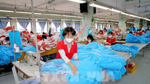 Phê duyệt Kế hoạch thực hiện Hiệp định Đối tác kinh tế toàn diện khu vực