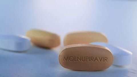 Đề xuất cấp phép 3 thuốc có hoạt chất Molnupiravir điều trị COVID-19