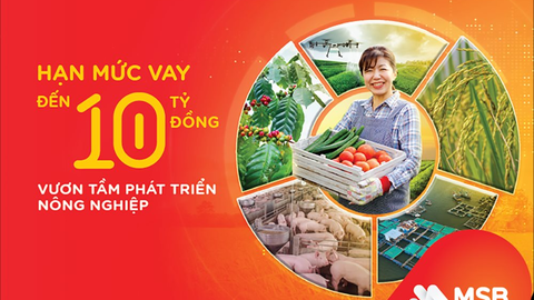 MSB cho vay phát triển nông nghiệp với hạn mức tới 10 tỷ đồng