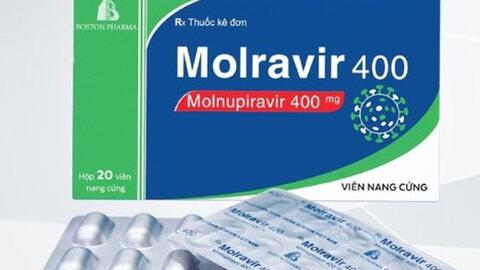 Hà Nội yêu cầu chỉ bán thuốc Molnupiravir cho F0 có đơn thuốc đúng quy định