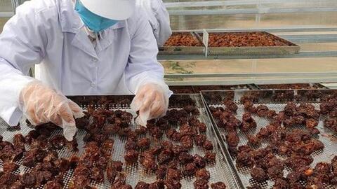 Kỳ vọng từ hợp tác kinh tế Việt - Nhật