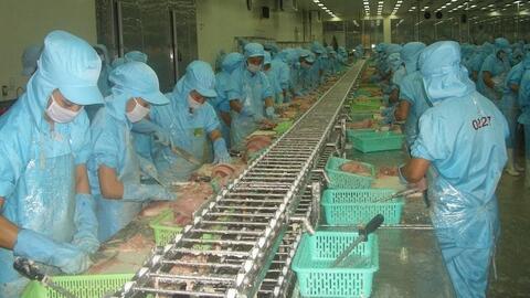 Chuyên gia VASEP: Kim ngạch xuất khẩu cá tra 2022 có thể đạt kỷ lục 2,5-2,6 tỷ USD