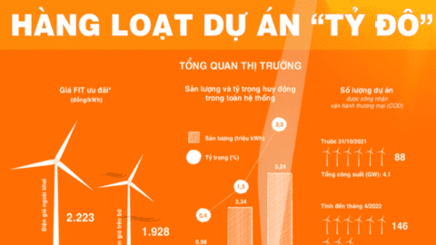 Quy hoạch điện gió đến 2045: Hàng loạt dự án ‘tỷ đô’