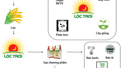 LTG - Tiềm năng tăng trưởng tốt