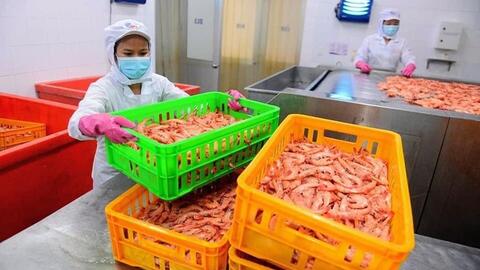 Lao động nghỉ việc hưởng trợ cấp thất nghiệp tăng