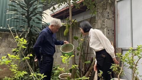 Số ca mắc sốt xuất huyết có chiều hướng giảm