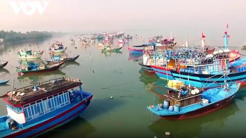 Chuyển đổi xanh và phát triển thuỷ sản xanh trở thành xu thế tất yếu