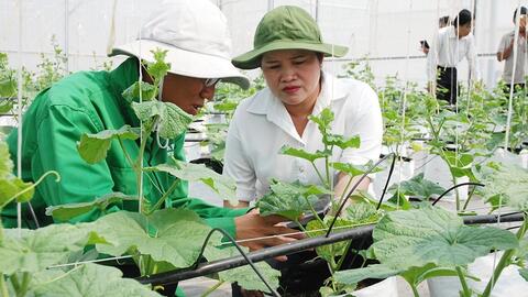 Bình Phước: Những cột mốc ấn tượng phát triển kinh tế, xã hội