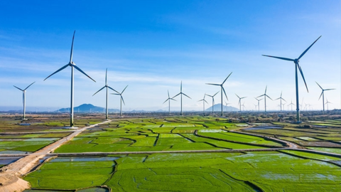 Phát triển năng lượng tái tạo góp phần đẩy nhanh quá trình khử carbon ở Việt Nam