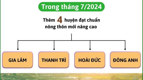 Hà Nội phấn đấu thêm 4 huyện đạt NTM nâng cao trong tháng 7/2024