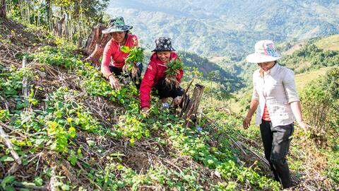 Nhiều quy định về Chương trình Mục tiêu quốc gia giảm nghèo bền vững  chưa được tỉnh Kon Tum thực hiện