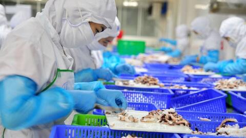 Tháng 8, xuất khẩu cá tra sang Mỹ đạt 35 triệu USD