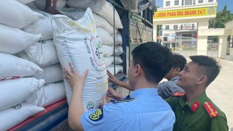 Nghệ An: Tạm giữ 3 tấn đường cát nhập lậu