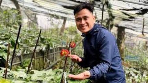 Kỹ sư bỏ công trường về vùng núi giúp bà con phát triển nguồn dược liệu