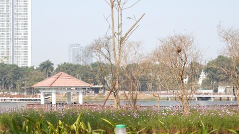 Hà Nội nỗ lực cải tạo công viên, "hồi sinh" những không gian xanh