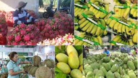 Chế biến sâu: Đòn bẩy đưa nông sản Việt vươn xa