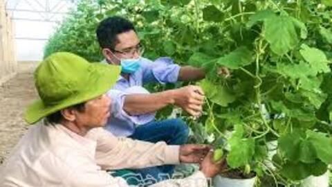 Ứng dụng công nghệ xanh thúc đẩy sản xuất và tiêu dùng bền vững