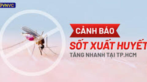 Cảnh báo sốt xuất huyết tiếp tục tăng nhanh tại TP HCM