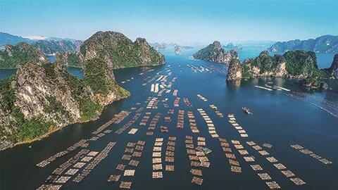 Tín dụng ngành Ngân hàng góp phần phát triển kinh tế biển