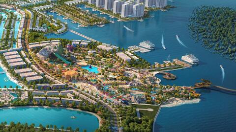 Khám phá rừng ngập mặn - lá phổi xanh của Đồ Sơn