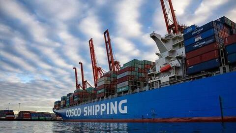 Đề nghị Bộ Công an phối hợp với Interpol điều tra vụ 36 lô điều nguy cơ mất trắng