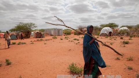 WFP kêu gọi nỗ lực ngăn chặn thảm họa nhân đạo do hạn hán ở Ethiopia