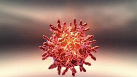 Úc: Xuất hiện virus "siêu cảm lạnh" lây với tốc độ cháy rừng, triệu chứng giống hệt COVID