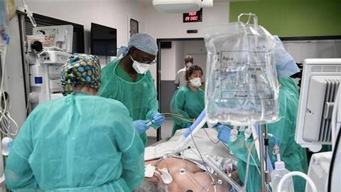 Nội tạng của bệnh nhân COVID-19 vẫn có thể sử dụng để cấy ghép an toàn