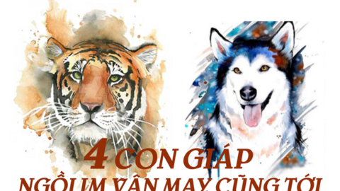 Tháng mới tài lộc mới, 4 con giáp ngồi im vận may cũng tới, biết cân nhắc tận dụng thì gánh vàng gánh bạc về nhà