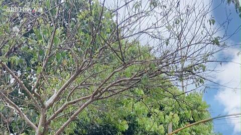 TikToker triệu view Trang Chun: Thu nhập 50 - 100 triệu đồng/tháng, “kéo” cả bố mẹ và em trai cùng làm clip!