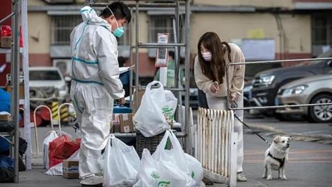 Bắc Kinh thắt chặt phòng dịch, Thượng Hải ghi nhận dấu hiệu khả quan