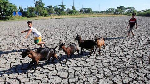Biến đổi khí hậu là thách thức cấp bách nhất với ngành nông nghiệp Đông Nam Á
