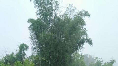 Mưa lũ lớn ở Bắc Giang, hàng trăm ngôi nhà chìm trong biển nước