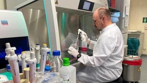 WHO: Đậu mùa khỉ không gây nguy cơ với y tế toàn cầu