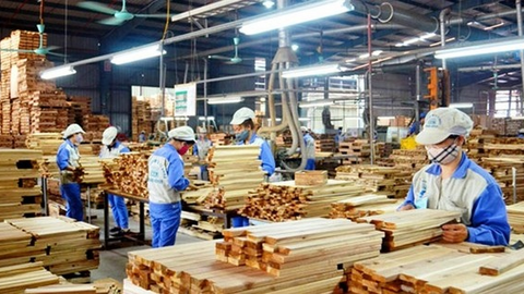 Mỹ áp thuế chống bán phá giá, doanh nghiệp xuất khẩu gỗ hoang mang