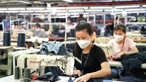 May 10 đặt kế hoạch doanh thu 2023 đi ngang, ước đạt 4,500 tỷ 