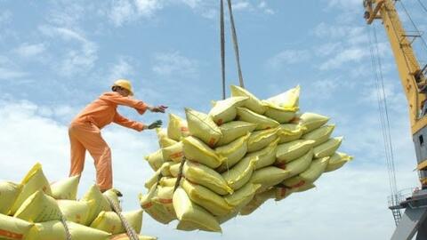 Ấn tượng kỷ lục giá gạo Việt Nam cao nhất thế giới