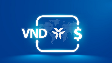 VIB là nhà cung cấp dịch vụ ngoại tệ sáng tạo nhất cho khách hàng cá nhân