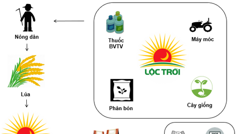 LTG - Tiềm năng tăng trưởng tốt