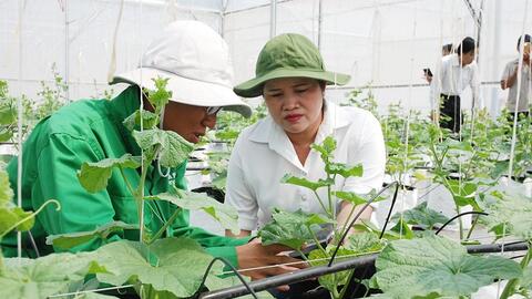 Bình Phước: Những cột mốc ấn tượng phát triển kinh tế, xã hội