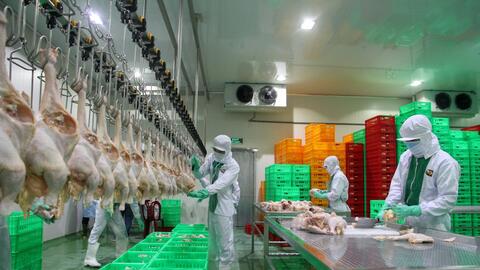 Nâng cao năng lực giết mổ, chế biến, đa dạng sản phẩm chăn nuôi