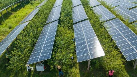 Tăng trưởng công suất năng lượng tái tạo sẽ bùng nổ trong 5 năm tới