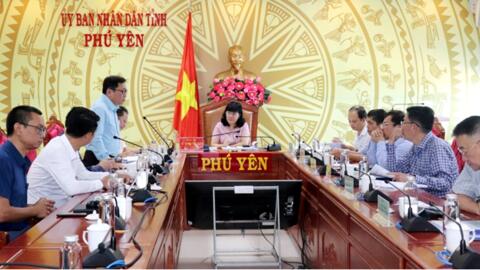 Nhà đầu tư đề xuất triển khai dự án nhà máy sản xuất hydro - amoniac xanh tại Phú Yên