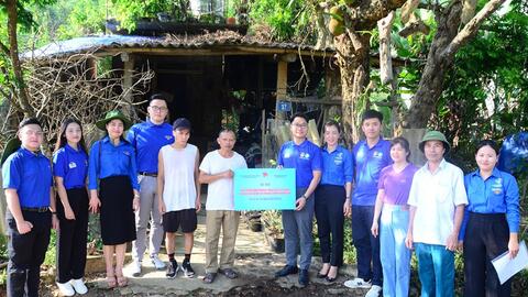 Trưởng thành từ những mùa hè tình nguyện