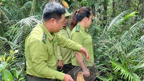 Khu bảo tồn thiên nhiên An Toàn được quy hoạch thành vườn quốc gia