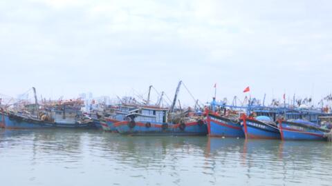 Bão Trà Mi di chuyển chậm, có khả năng suy yếu