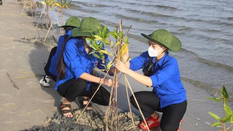 3 nhóm nhiệm vụ, giải pháp quan trọng để thích ứng với biến đổi khí hậu